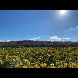 Meet your Posher, Kaitlyn